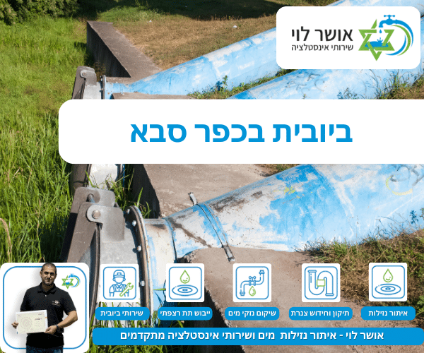 ביובית בכפר סבא
