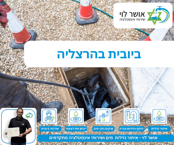 ביובית בהרצליה