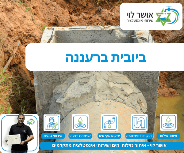 ביובית ברעננה