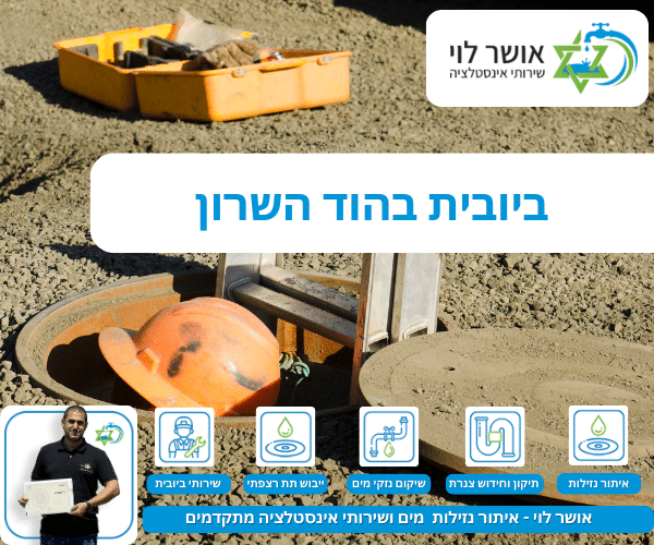 ביובית בהוד השרון