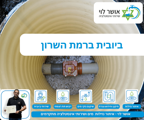ביובית ברמת השרון