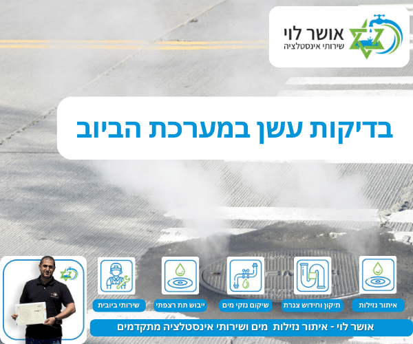 בדיקות עשן במערכת הביוב