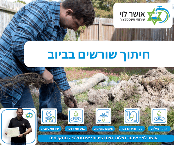 חיתוך שורשים בביוב