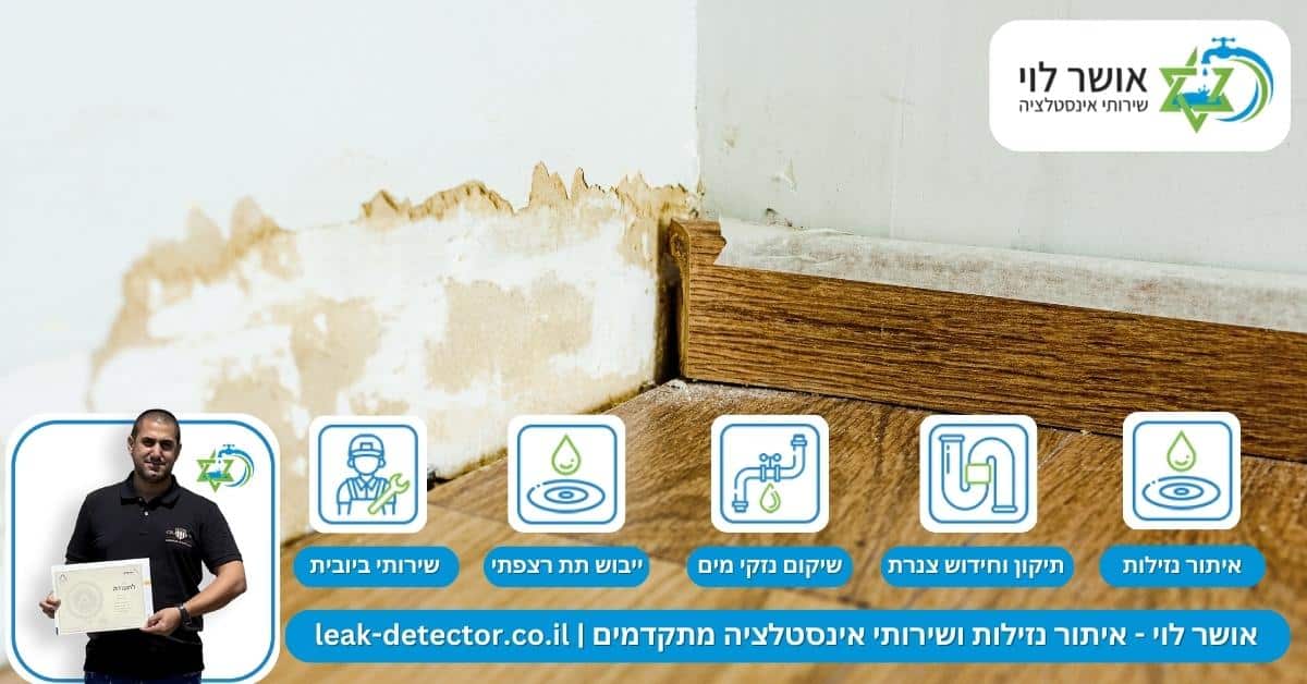 3 סיבות נפוצות להופעת רטיבות בקירות והמאפיינים שלהן