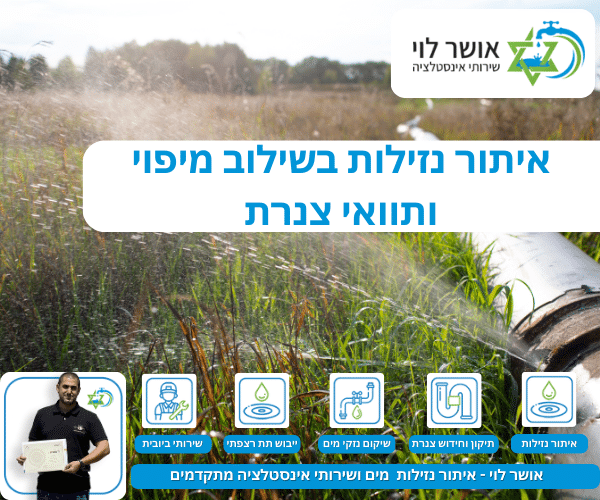 איתור נזילות בשילוב מיפוי ותוואי צנרת