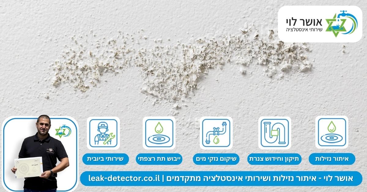 האם שווה לנסות לתקן את נזקי הרטיבות הקפילרית לבד?