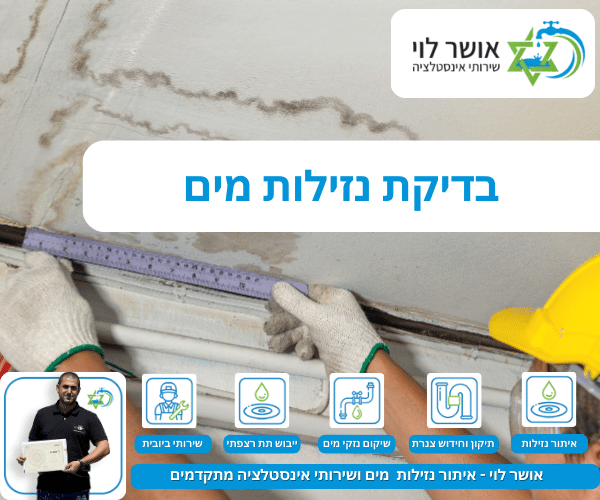 בדיקת נזילות מים
