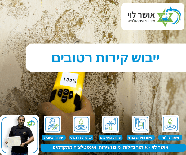 ייבוש קירות רטובים