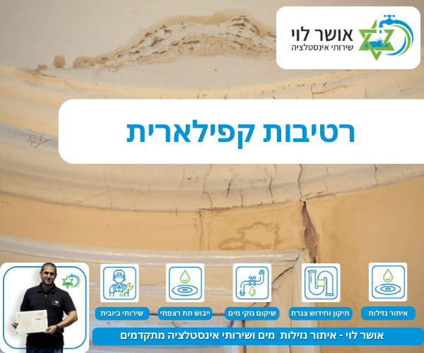 רטיבות קפילארית
