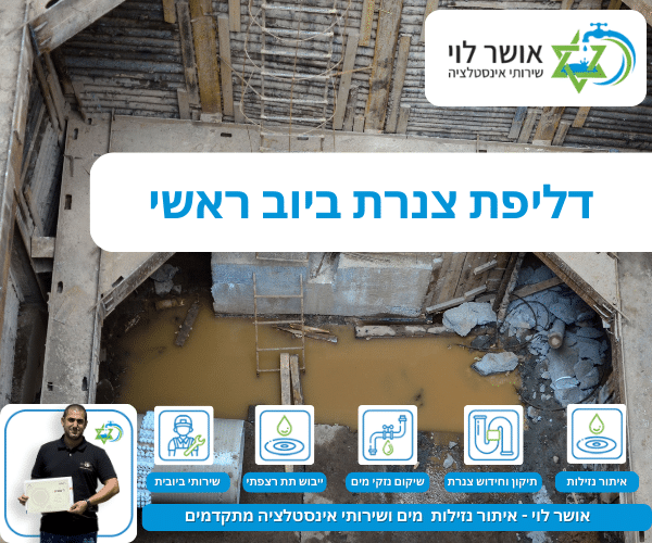 דליפת צנרת ביוב ראשי