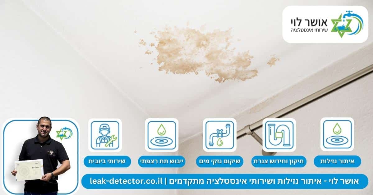 הסימנים לדליפת מים נסתרת בבית שכדאי להכיר ולשים אליהם לב