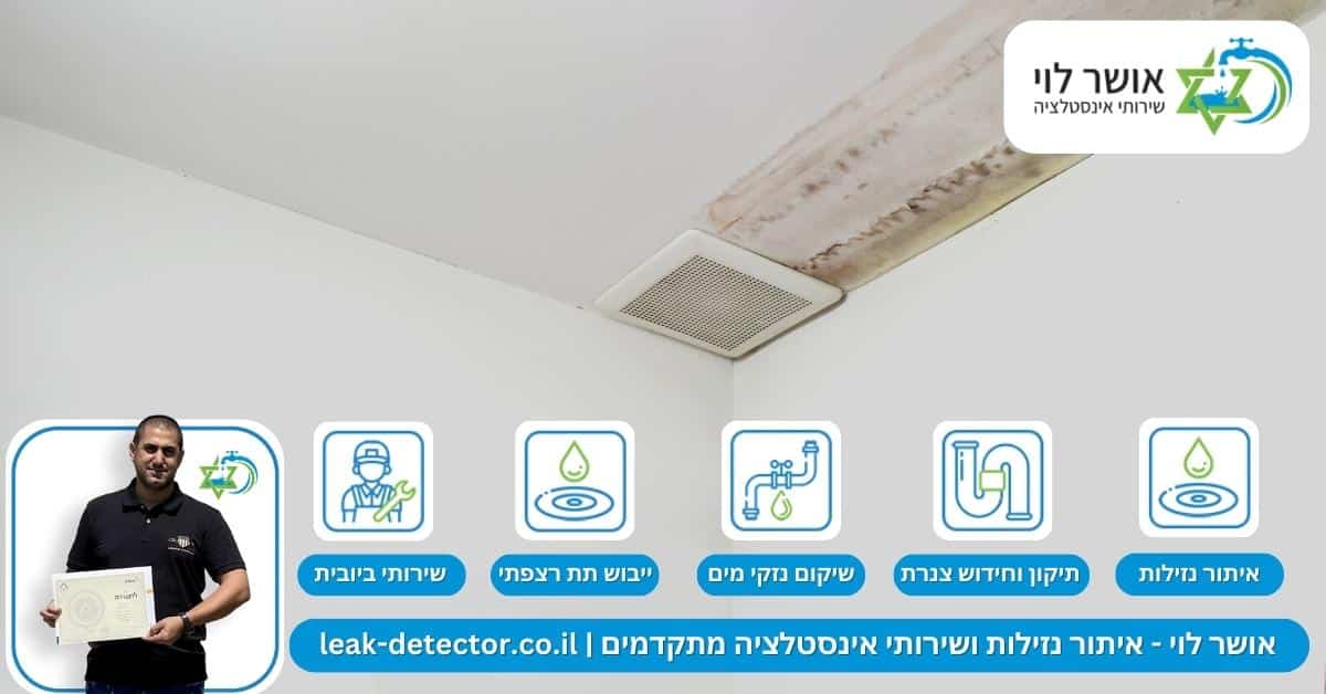 מה לעשות כשמזהים נזילה בבית? איך לפעול נכון