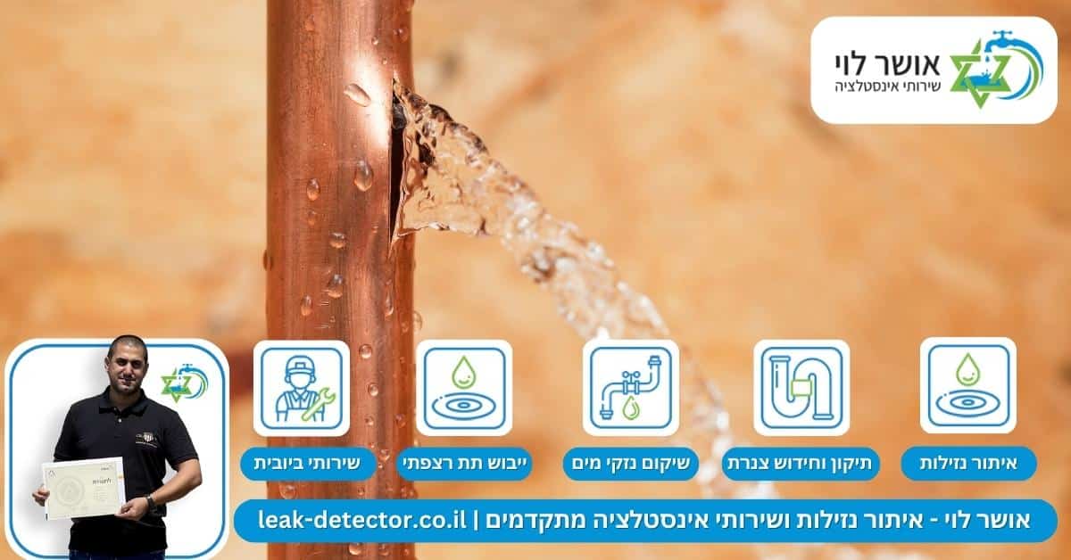 כלים וטכניקות לזיהוי מדויק של דליפות מים