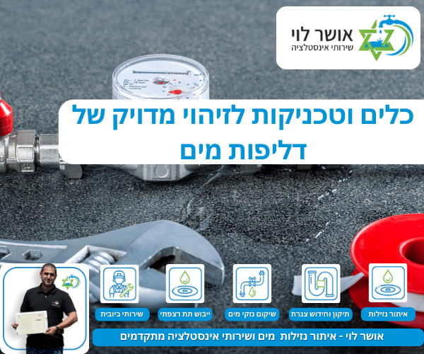 כלים וטכניקות לזיהוי מדויק של דליפות מים