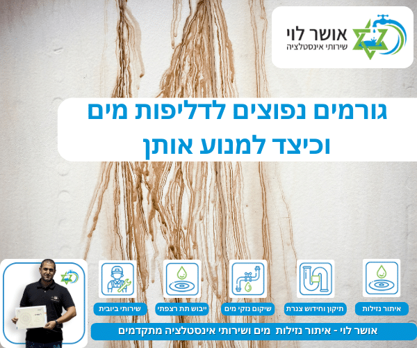 גורמים נפוצים לדליפות מים וכיצד למנוע אותן