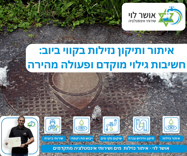 איתור ותיקון נזילות בקווי ביוב: חשיבות גילוי מוקדם ופעולה מהירה