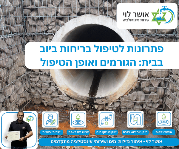פתרונות לטיפול בריחות ביוב בבית: הגורמים ואופן הטיפול