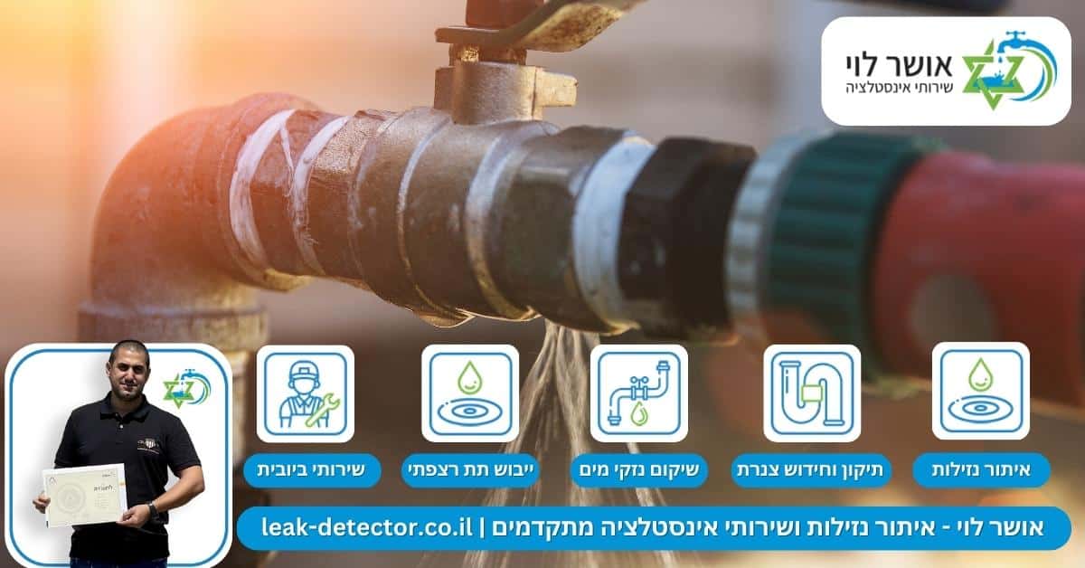 אמצעי מניעה, איתור וטיפול בנזילות בחצר הבית
