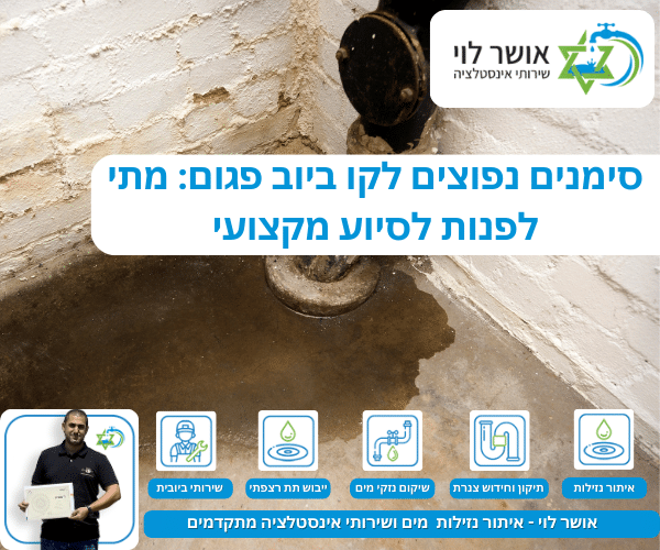 סימנים נפוצים לקו ביוב פגום: מתי לפנות לסיוע מקצועי