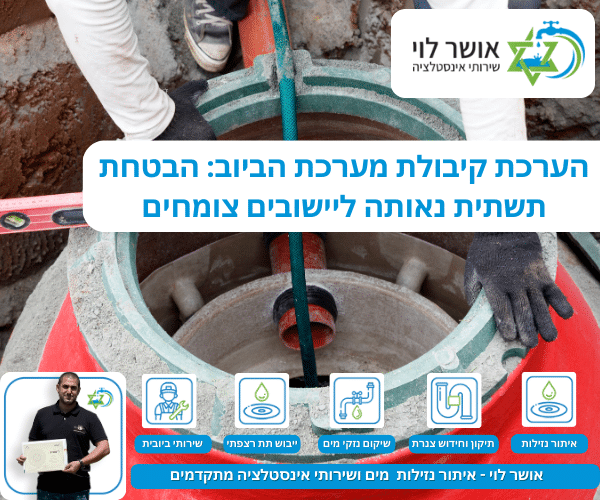 הערכת קיבולת מערכת הביוב: הבטחת תשתית נאותה ליישובים צומחים