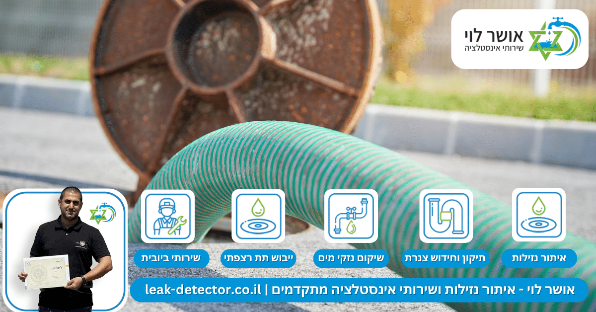 כרסום שורשים בביוב