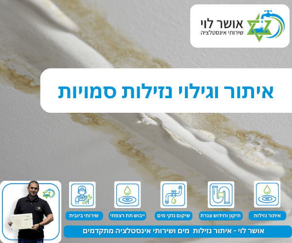 איתור וגילוי נזילות סמויות