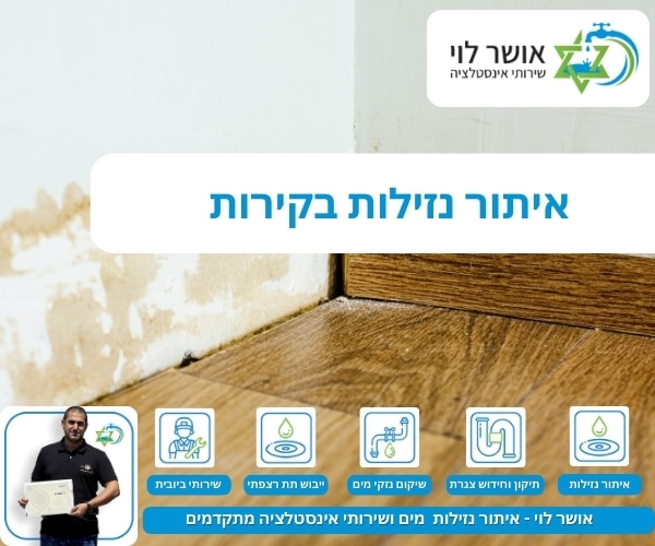 גילוי נזילות מים ודליפות בקירות
