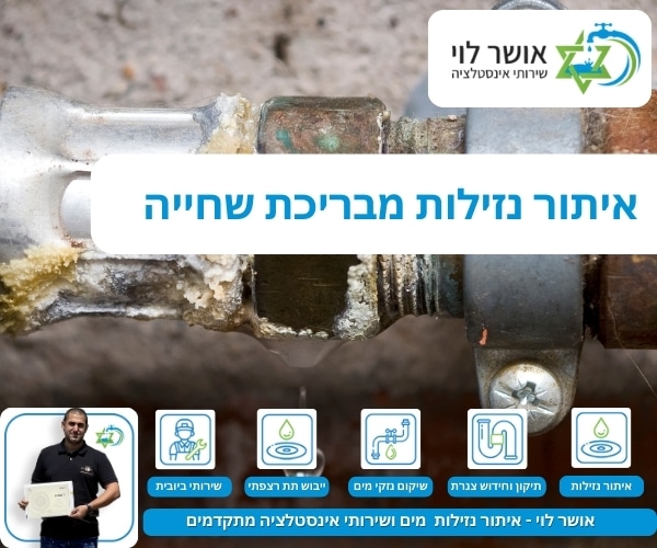 איתור נזילות בבריכת שחייה