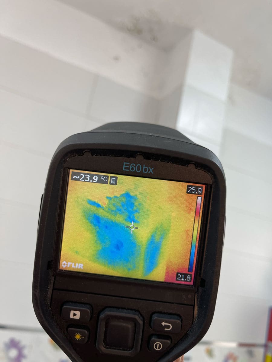 צילום במצלמה תרמית FLIR