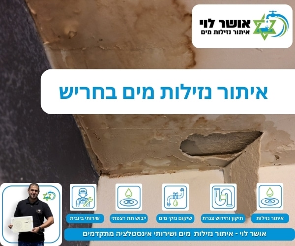 איתור נזילות מים בחריש