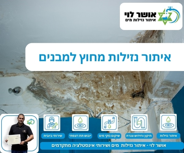 איתור נזילות מחוץ למבנים