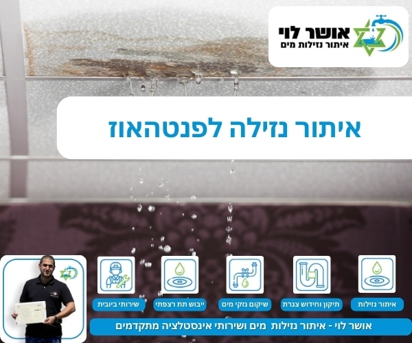איתור נזילה לפנטהאוז