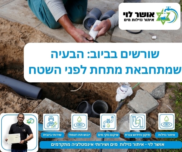 שורשים בביוב: הבעיה שמתחבאת מתחת לפני השטח