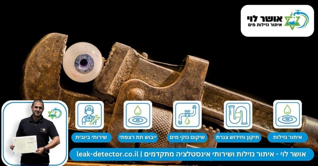 איתור נזילה נסתרת כיצד נגן על הבית שלכם מפני נזקים סמויים