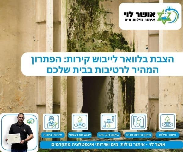 הצבת בלוואר לייבוש קירות: הפתרון המהיר לרטיבות בבית שלכם