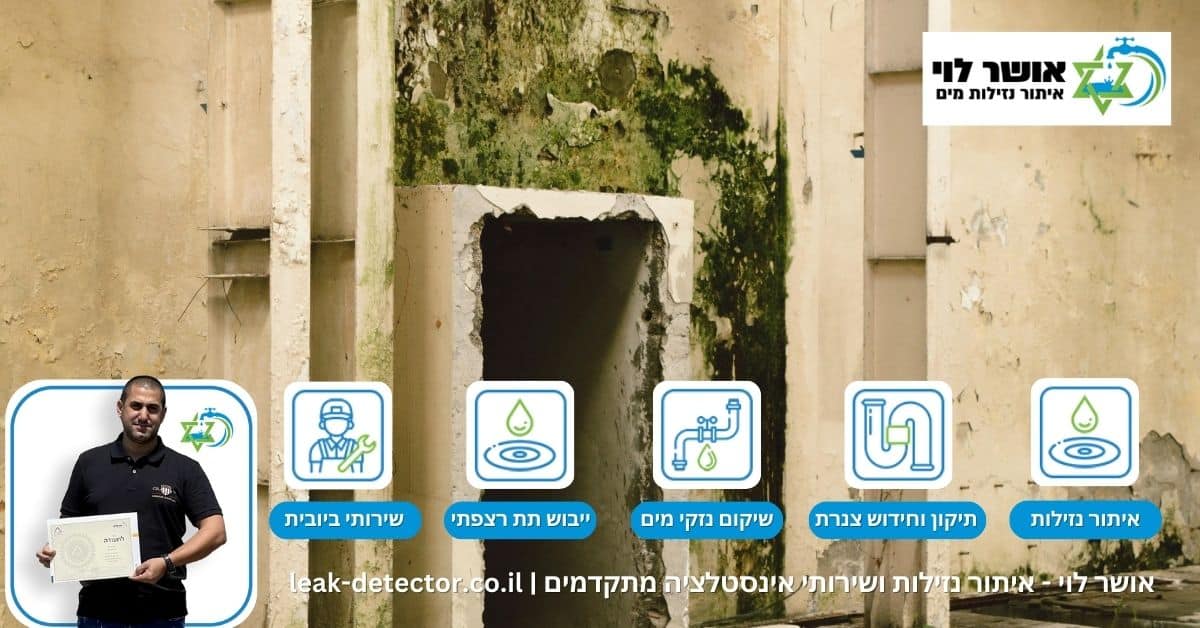 הצבת בלוואר לייבוש קירות הפתרון המהיר לרטיבות בבית שלכם