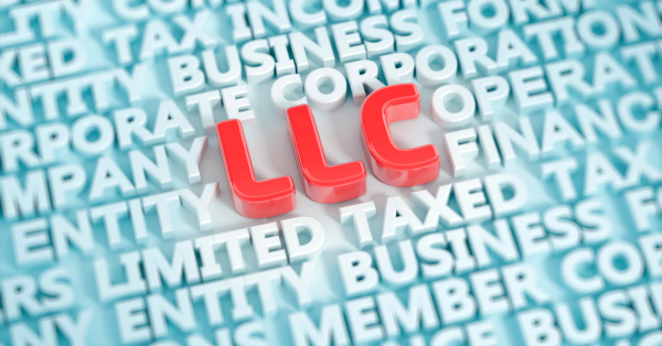 LLC בלי כאב ראש איך זה עובד, ולמה משקיעים זרים כל כך אוהבים את זה
