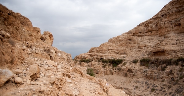 מדבר יהודה