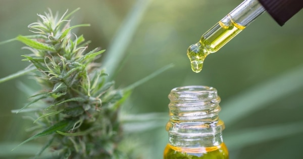 טיפות CBD