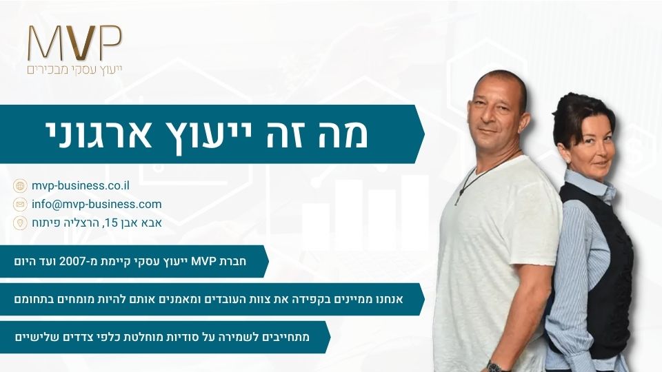 מה זה ייעוץ ארגוני