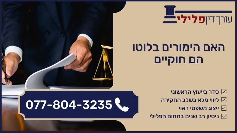 האם הימורים בלוטו הם חוקיים