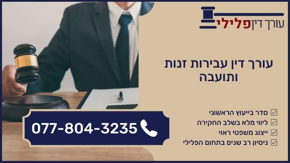 עורך דין עבירות זנות ותועבה