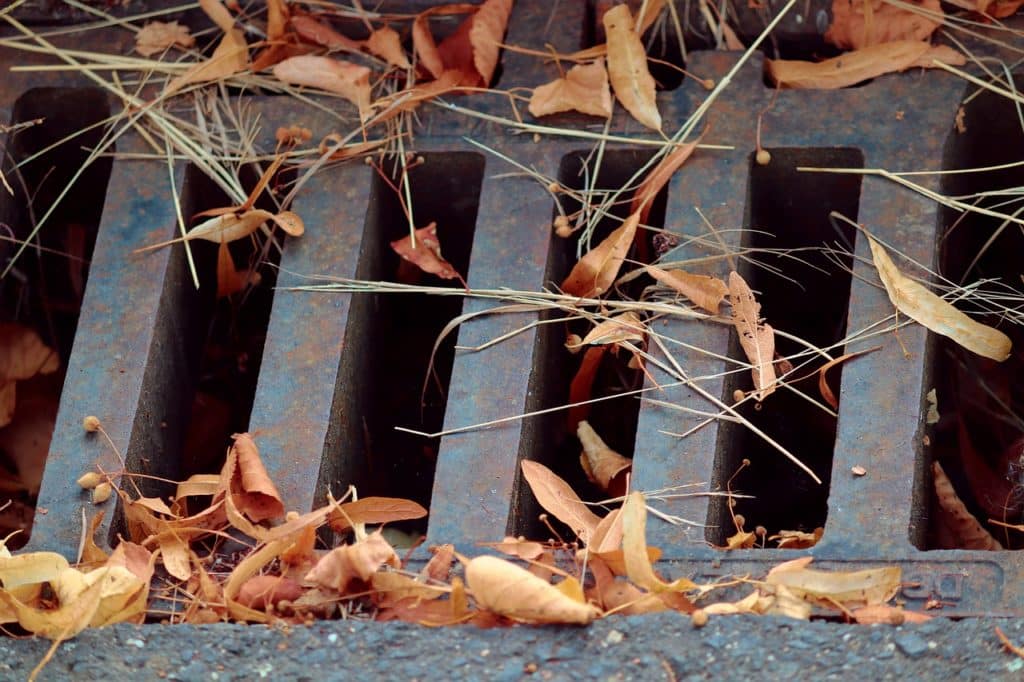 Drainage 1617161518 ביוב
