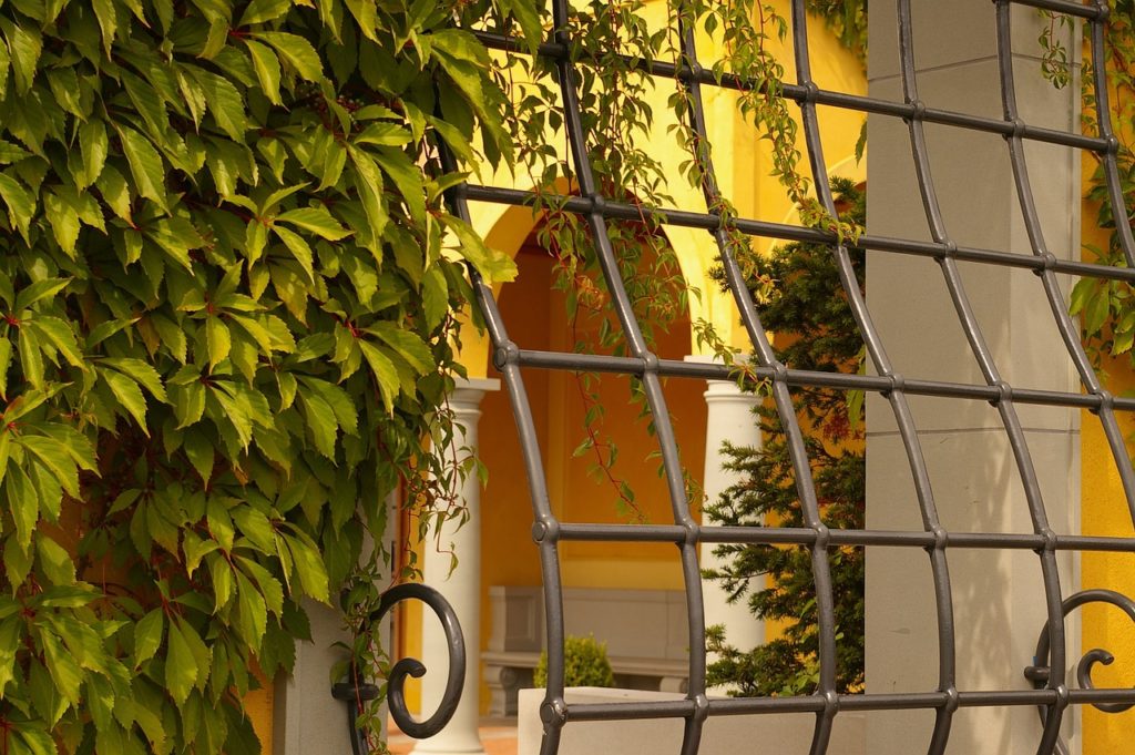 window bars 1663472161 סורג מעוצב
