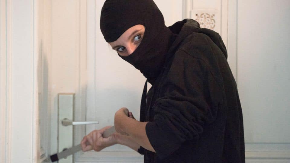 גניבת מידע – כך תתפסו את גנב המידע על חם