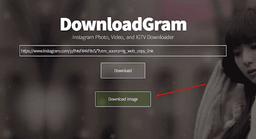 אתר downloadgram.pro