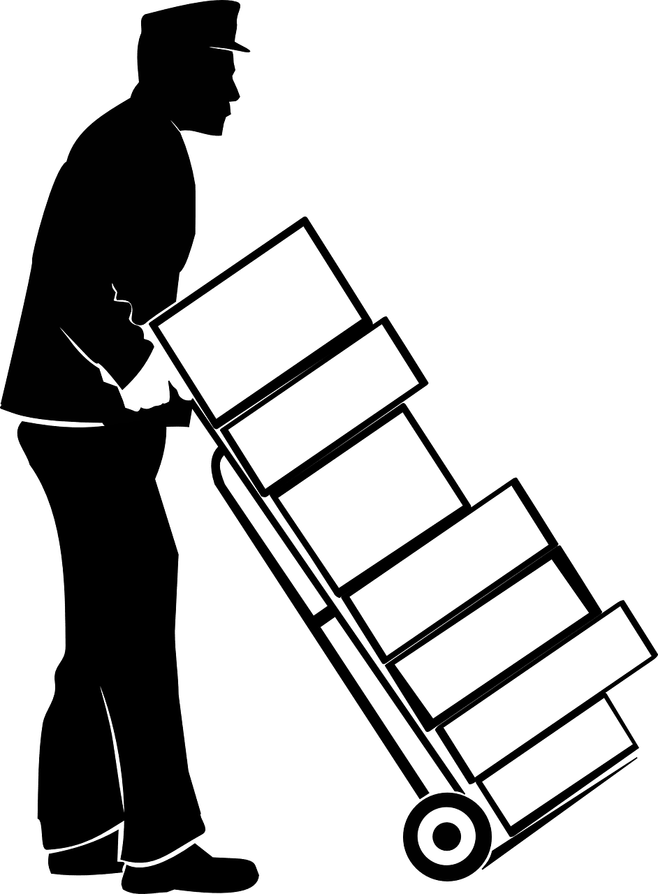איש מקצוע 