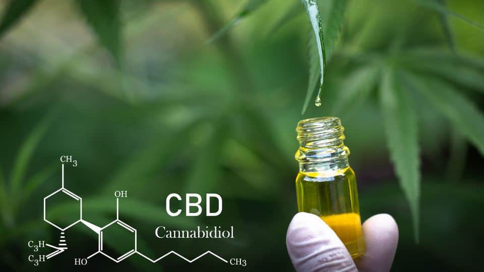 שמן קנאביס CBD שמן קנאביס CBD