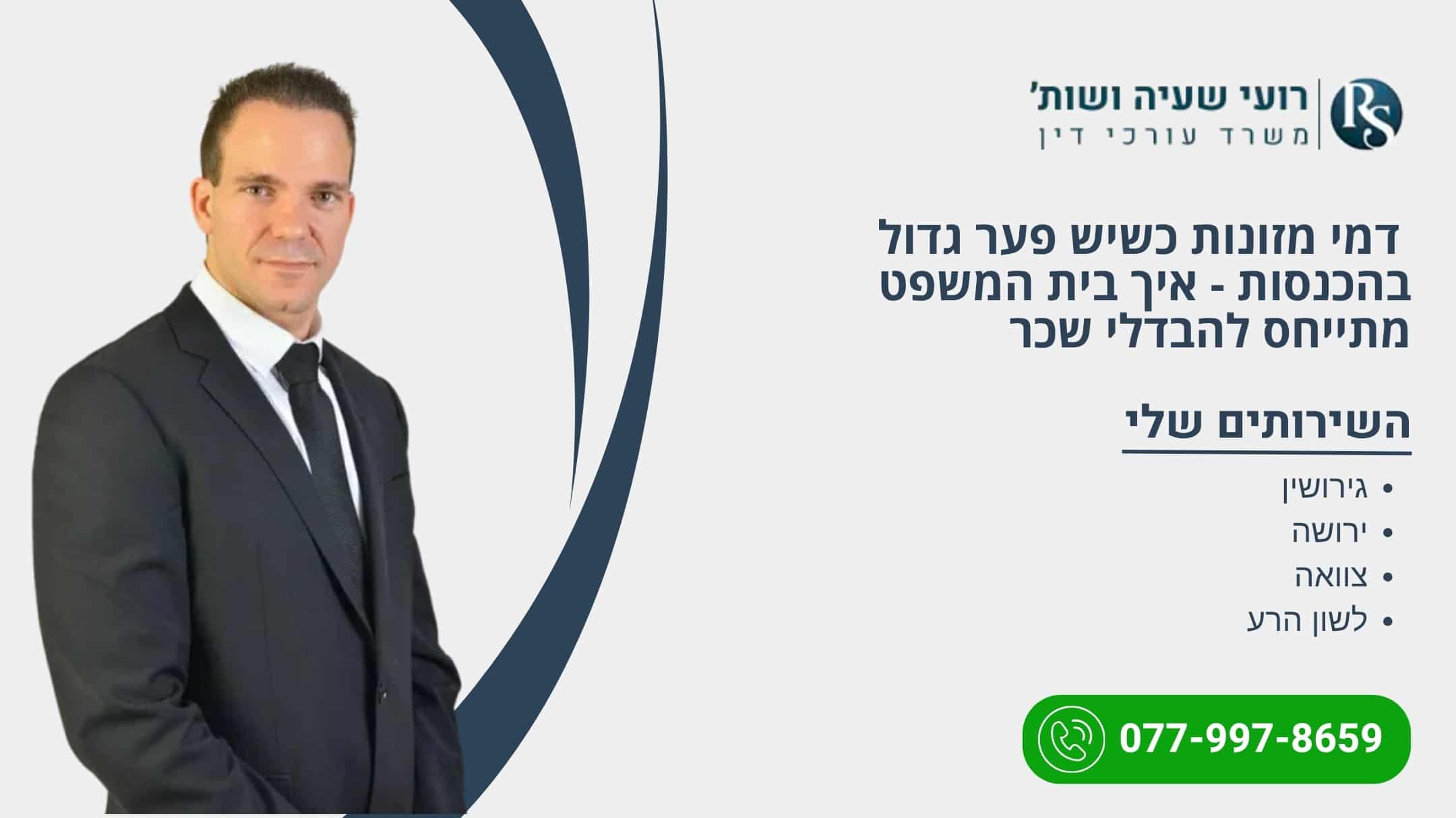  דמי מזונות כשיש פער גדול בהכנסות - איך בית המשפט מתייחס להבדלי שכר - רועי שעיה