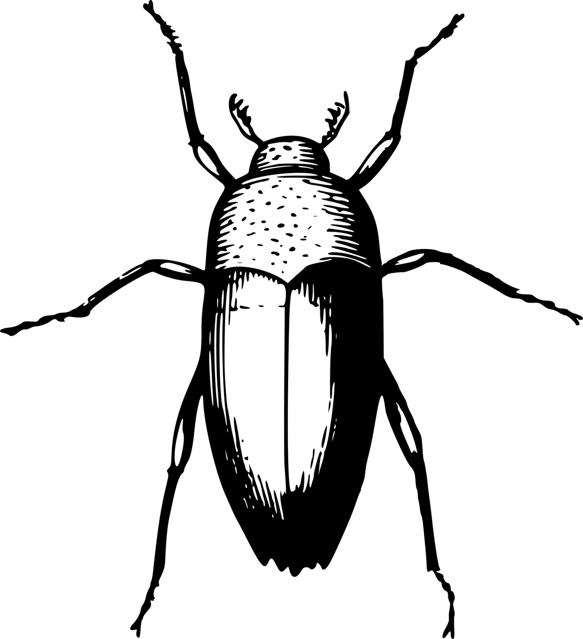 הדברה ירוקה – כדאי לכם לנסות את זה